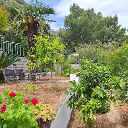 Elixir Villa *